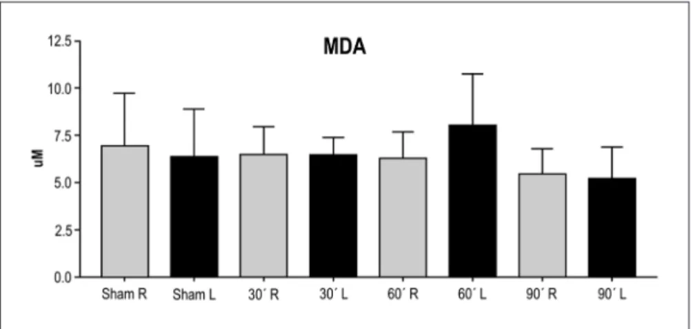 Figure 2 presents the MDA levels (mean ± sD) deter- deter-mined in samples of the right and left brain hemispheres  of the animals in the four groups studied.
