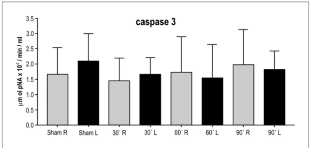 Fig 3. Caspase-3 levels in samples from the right and left brain hemispheres of sham animals  and of animals submitted to 30, 60 and 90 min of ischemia