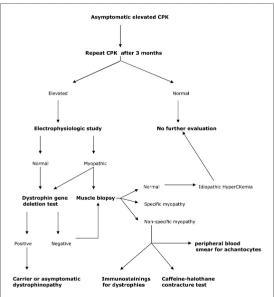 Fig 2. Suggested approach to the asymptomatic hyperCKemia.
