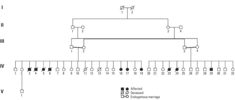 Fig 1. Family pedigree showing the consanguineous marriages and pointing the afected people in the family.