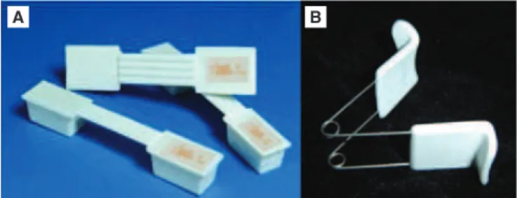 Figura 2. (A) Halteres labiais; (B) exercitador labial, ambos da marca Pró-Fono ®