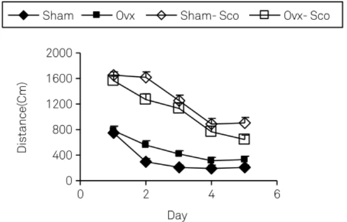 Fig 1. Comparison of swim time latency (seconds) to find  the platform among Sham, OVX, Sham-Sco and OVX-Sco  Groups