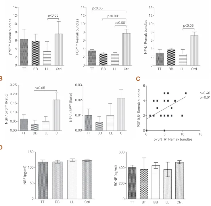 Fig 2. Morphometric evaluation of Remak bundles. (A) Count of positivity to p75 NTR , NF-L and PGP 9.5