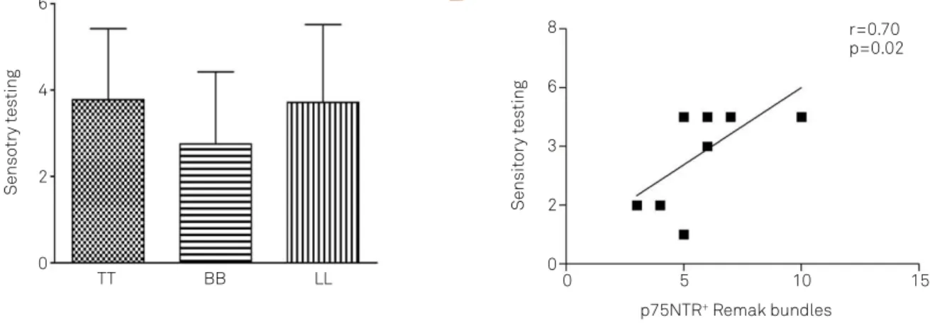Fig 3. Light touch threshold evaluation. (A) Score for sensibility test by using Semmes-Weinstein monofilaments