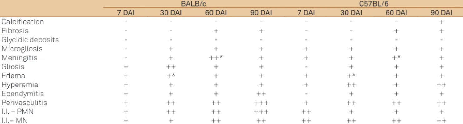 Table 2. Pathological processes found in the host-parasite interface in BALB/c and C57BL/6 mice experimentally infected with T