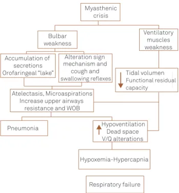 Fig 2. Pathophysiology of myasthenic crisis. 