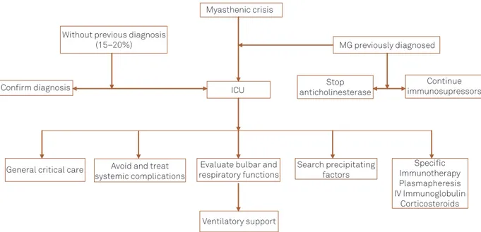 Fig 3. Algorithm for myasthenic crisis management. 