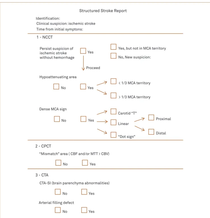 Fig 1. Structured stroke report.