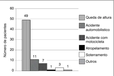 Figura 1.  Distribuição dos pacientes quanto à etiologia do trauma que acarretou 