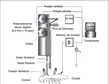 Figura 1. Diagrama do NYImpactor.