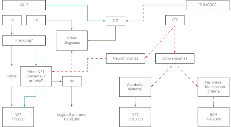 Figure 1 depicts a practical step-by-step guide to differ- differ-entiate NF1 from NF2 and SCH