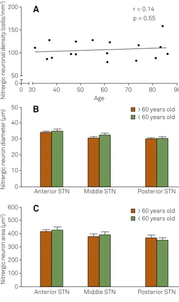 Figure 2. Effects of aging on neuronal density and morphology in  subthalamic nucleus