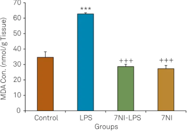 Figure 5. Comparison of the total thiol concentrations  in cortical tissues of four groups