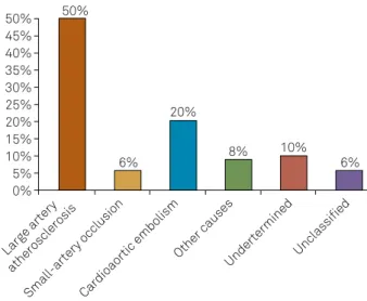 Figure 4. Final classiication (SSS-TOAST) of brain infarctions.