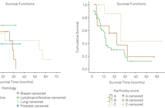 Figure 1. Survival by primary cancer site.