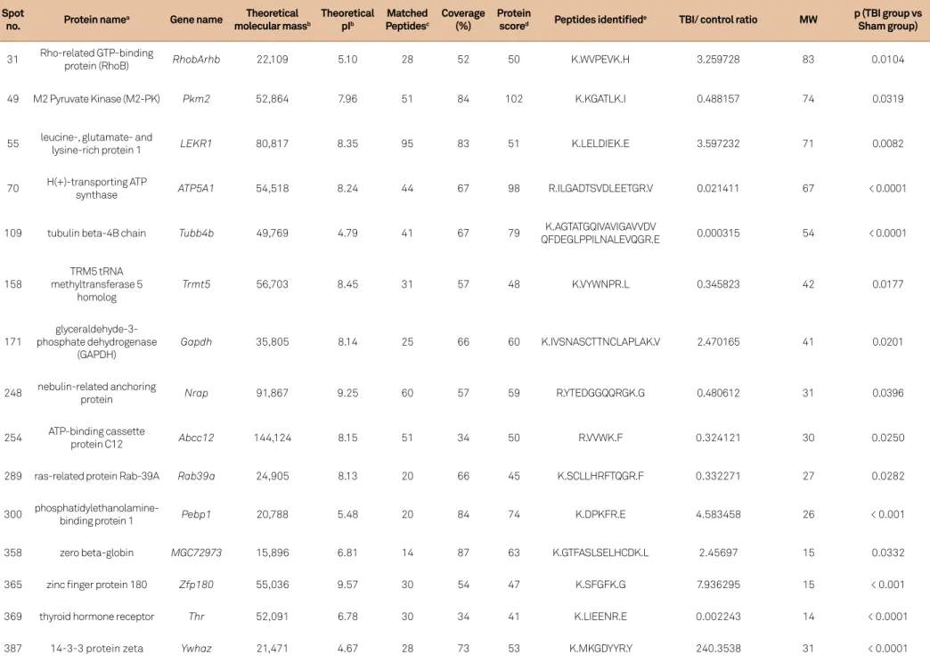 Table 2. Proteins identified by MALDI-TOF/TOF.