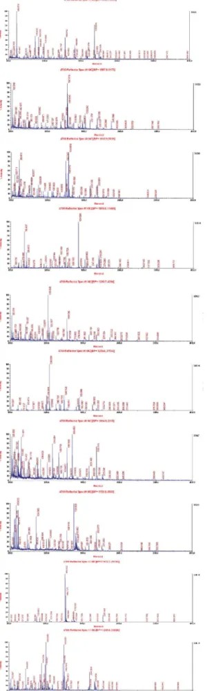 Figure 2. MALDI-TOF/TOF maps for the 20 identified proteins.