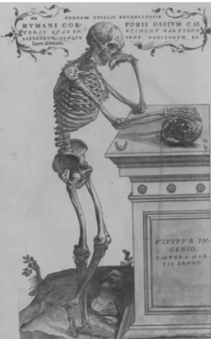 Figure 2. The culture at the time and the meditative skeleton from  Vesalius’s work, at the bottom with the inscription “vivitur ingenio,  caetera mortis erunt” (Genius lives on, all else is mortal)