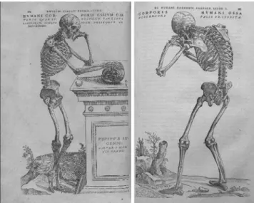 Figure 2. Illustrations from Vesalius’ Fabrica (1555) 7 . Skeletons and their expressive postures.