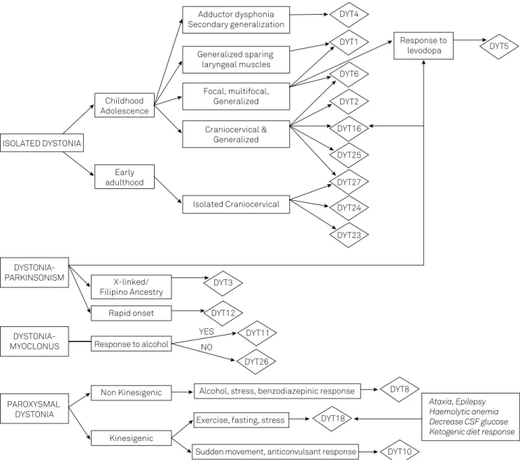 Figure 3. Algorithm for the diagnosis of hereditary dystonias. 