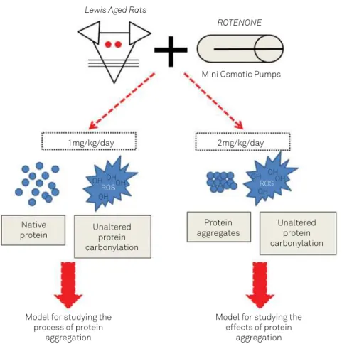 Figure 4. Overview of the results and conclusions achieved in this study. 