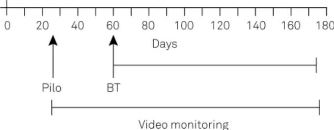 Figure 1. Timeline of the procedures. Pilo: picocalpine; 