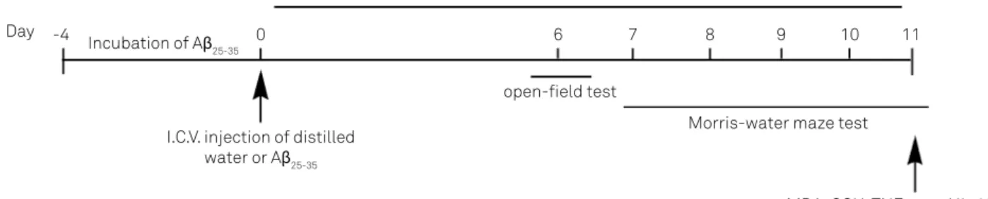 Figure 1. The experimental design of the study demonstrating subchronic treatment of ursolic acid.