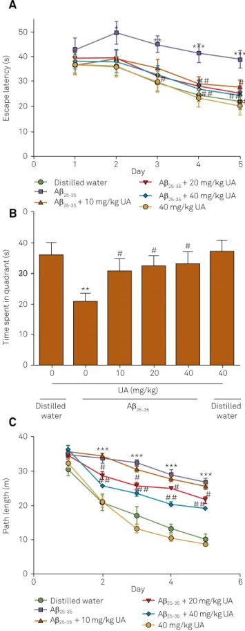Figure 3. Behavioral performance of mice in the Morris water  maze task. (A) Escape latency apparent during the training  and probe sessions
