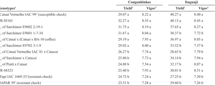 Table 2. Yield means in bags of processed coffee per hectare and plant vigor in the municipalities of Congonhinhas and Itaguajé (Paraná, Brazil),  between 2008 and 2011