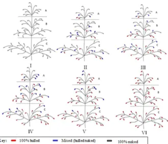 Figure 1. Representation of the classes found in the F 2  generation. EEA  – Eldorado do Sul, RS, 2010 and 2011