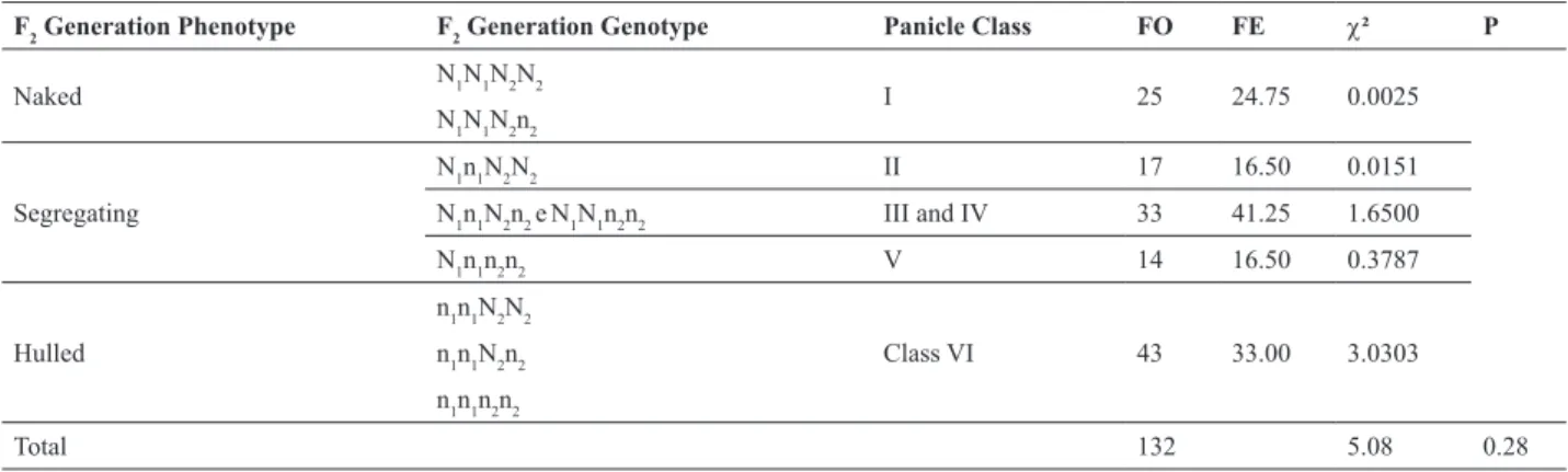 Table 4. Frequencies observed and expected in the F 3  generation, considering only progenies coming from oat panicles belonging to Class I in the F 2