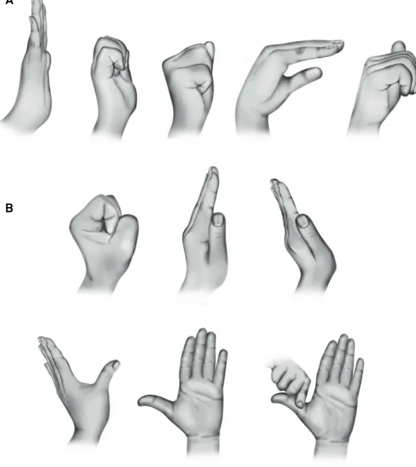 Figure 1. A) Example of the sequence of inger movements during tendon gliding exercises; B) Example of the sequence of inger  movements during median nerve gliding exercises