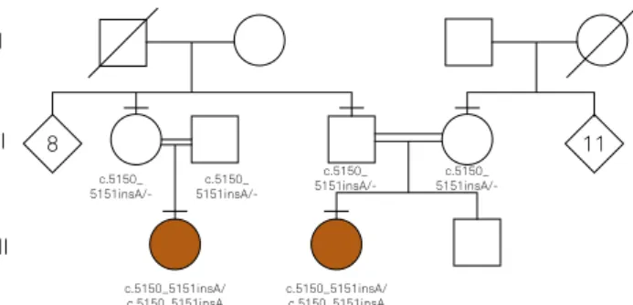 Figure 1. Simplified pedigree and genotypes.