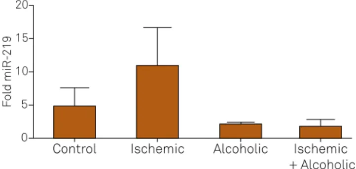 Figure  5  shows  the  comparison  of  the  expression  of  this  protein among the four groups.
