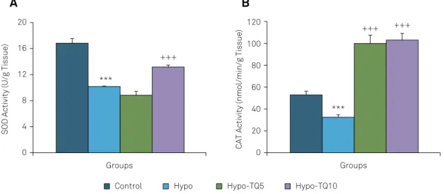 Figure 8. Comparison of the serum level of T4 between the four  groups. Data are shown as mean ± SEM (n = 8 in each group)