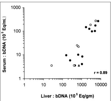 TABLE 1 – HCV RNA results by bDNA assay in serum and liver samples