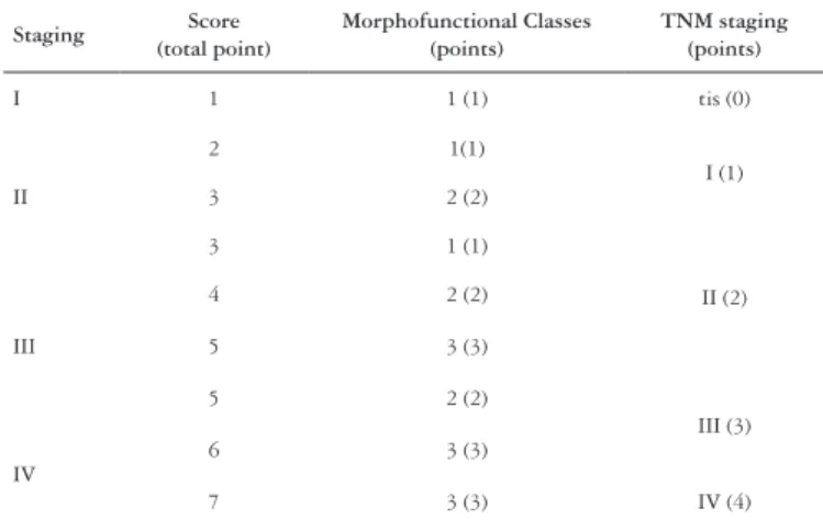 TABLE 1. Morphofunctional classes of CRC