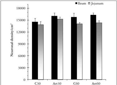 FIGURE 2.  Neuronal density of myosin-V immunoreactive myenteric  neurons observed in the intermediate region in the ileum and jejunum