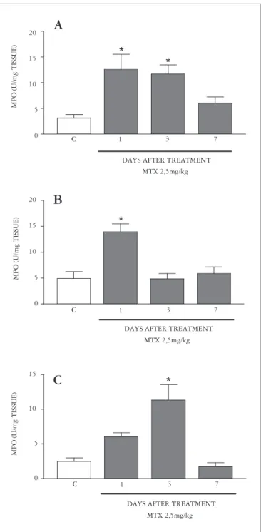 FIGURE  1.  Morphometric  analyses  of  VH/CD  ratio  obtained  from  experimental ( ■ ) and normal control (C,  □ ) rats (at least six rats for group)
