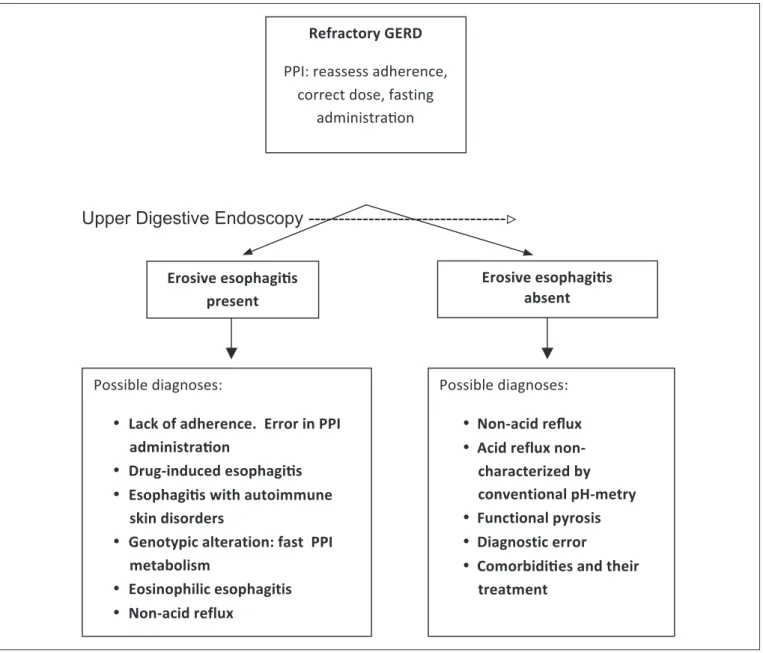 FIGURE 2. Diagnostic conduct in refractory GERD (Richter (17)  modif.)