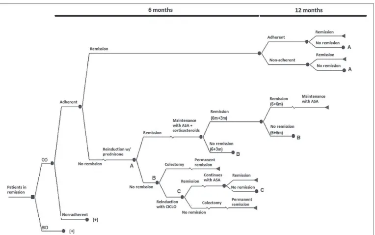 FIGURE 1. Scheme of the decision tree*