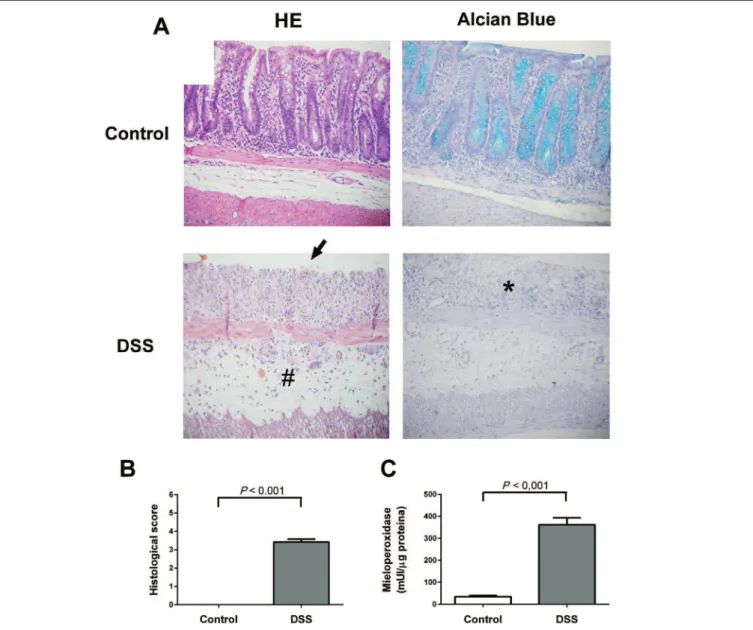 FIGURE 2. Histophatological changes and enzymatic activity present in the colon of the dextran sulfate sodium DSS-induced colitis model.