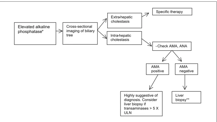 FIGURE 1. Suggested algorithm to evaluate patients with laboratory evidence of cholestasis