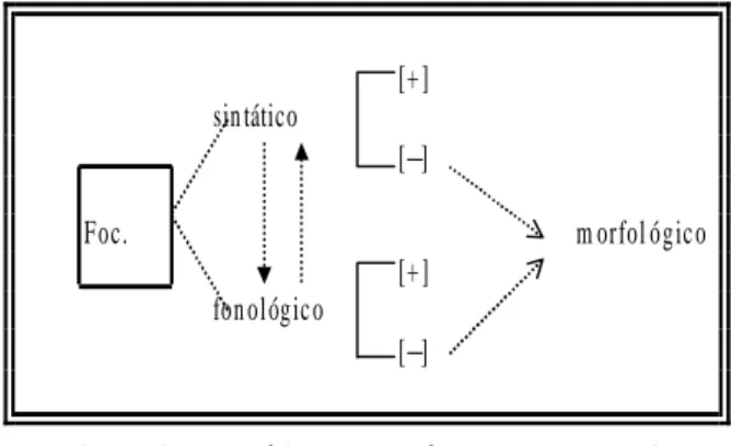 Figura 2: Reanálise dos parâmetros da Focalização.