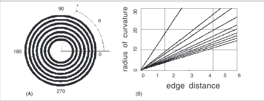 Figure 2 - (A) Illustration of the principle used for edge detection of Placido discs