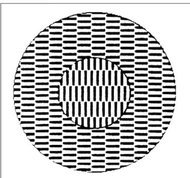Fig. 1. Pattern for the demonstration of intrafigural apparent motion (11) . The circular inset will spontaneously appear to “move“ with respect to the surrounding checkerboard, perceived either as an aperture or