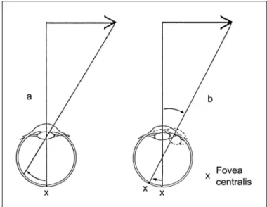Fig. 2 - Afferent, retinal (a) and efferent, oculomotor (b) modes of motion perception (26) 
