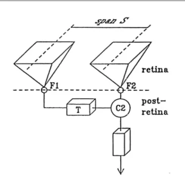 Fig. 3 - Bilocal motion detector (30) . The detector is tuned to the velocity S/T, where S is the span and T the delay