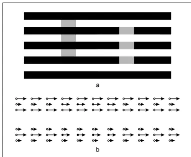 Fig. 6 - Velocity assimilation (41) . a) Brightness assimilation (Munker- (Munker-White effect)