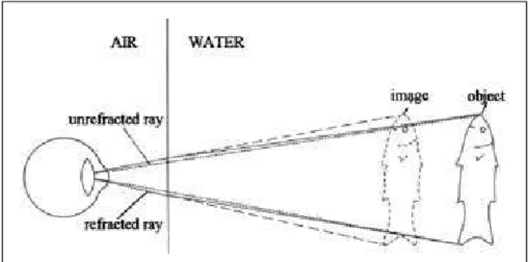 Figure 1 - Schematic diagram of refraction at the air/water interface.